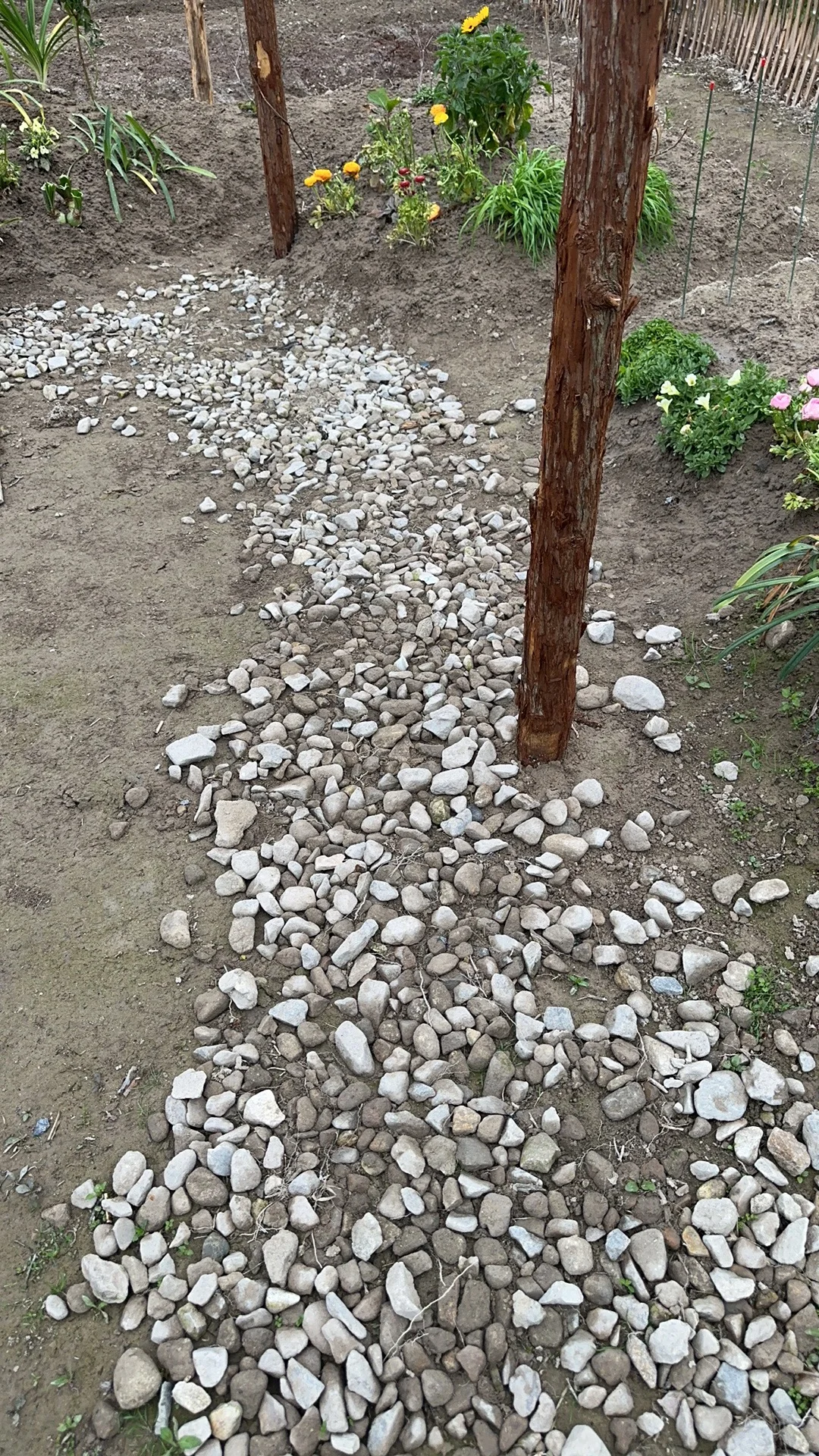又可以靠种花健身了