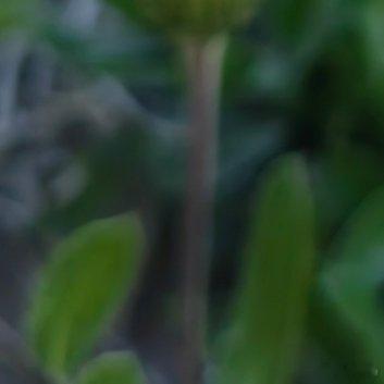 关于变质你发现没，什么东西都有保质期。冰箱里的牛奶会变质，衣柜里的衣服会过时，就