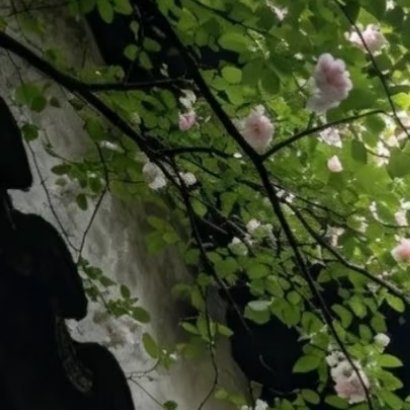 每日一善‎每日一善 愿我们都能在自己不够完美的人生里找到属于自己的自由！自由从来