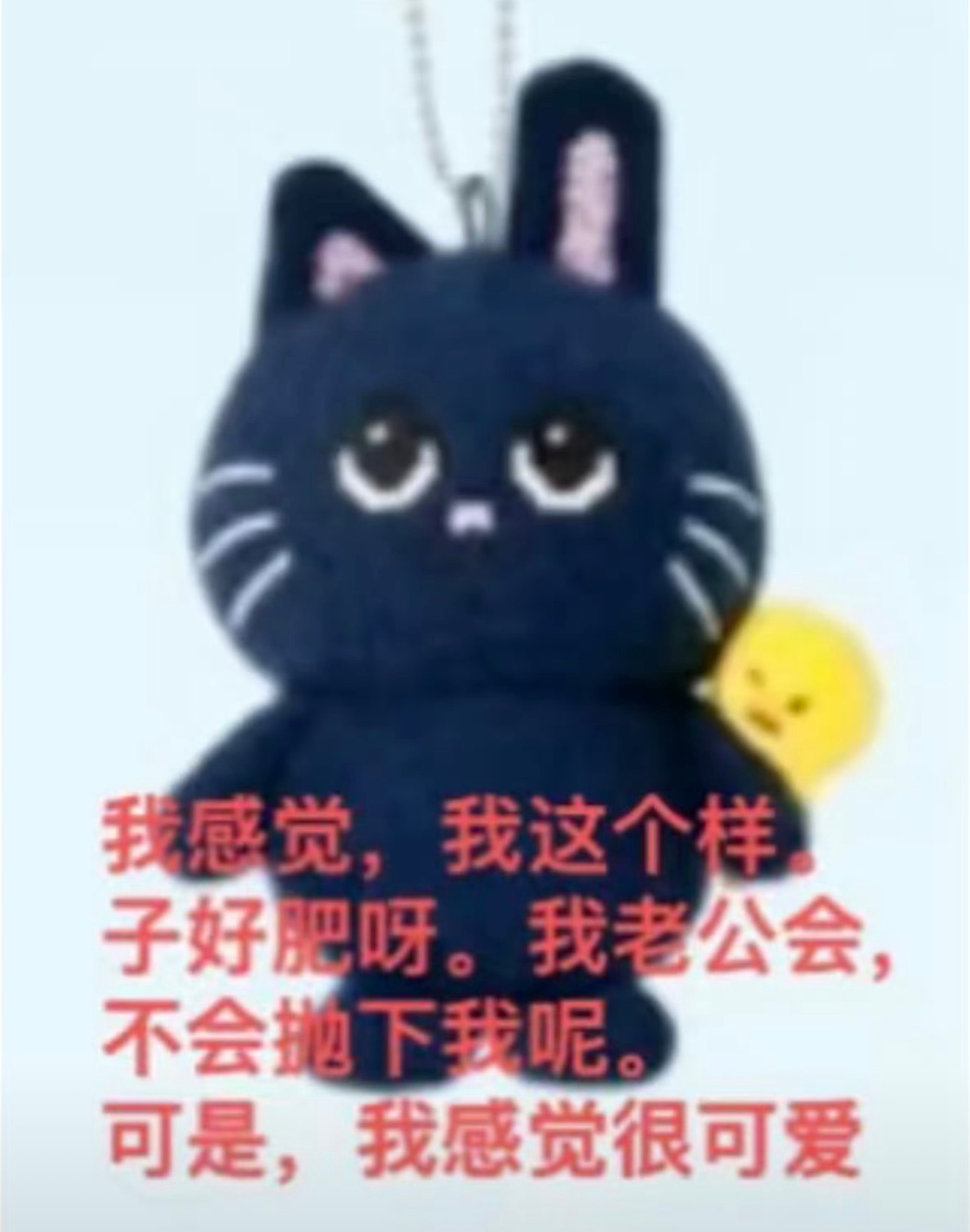 正式进入兔喵猪时代 
