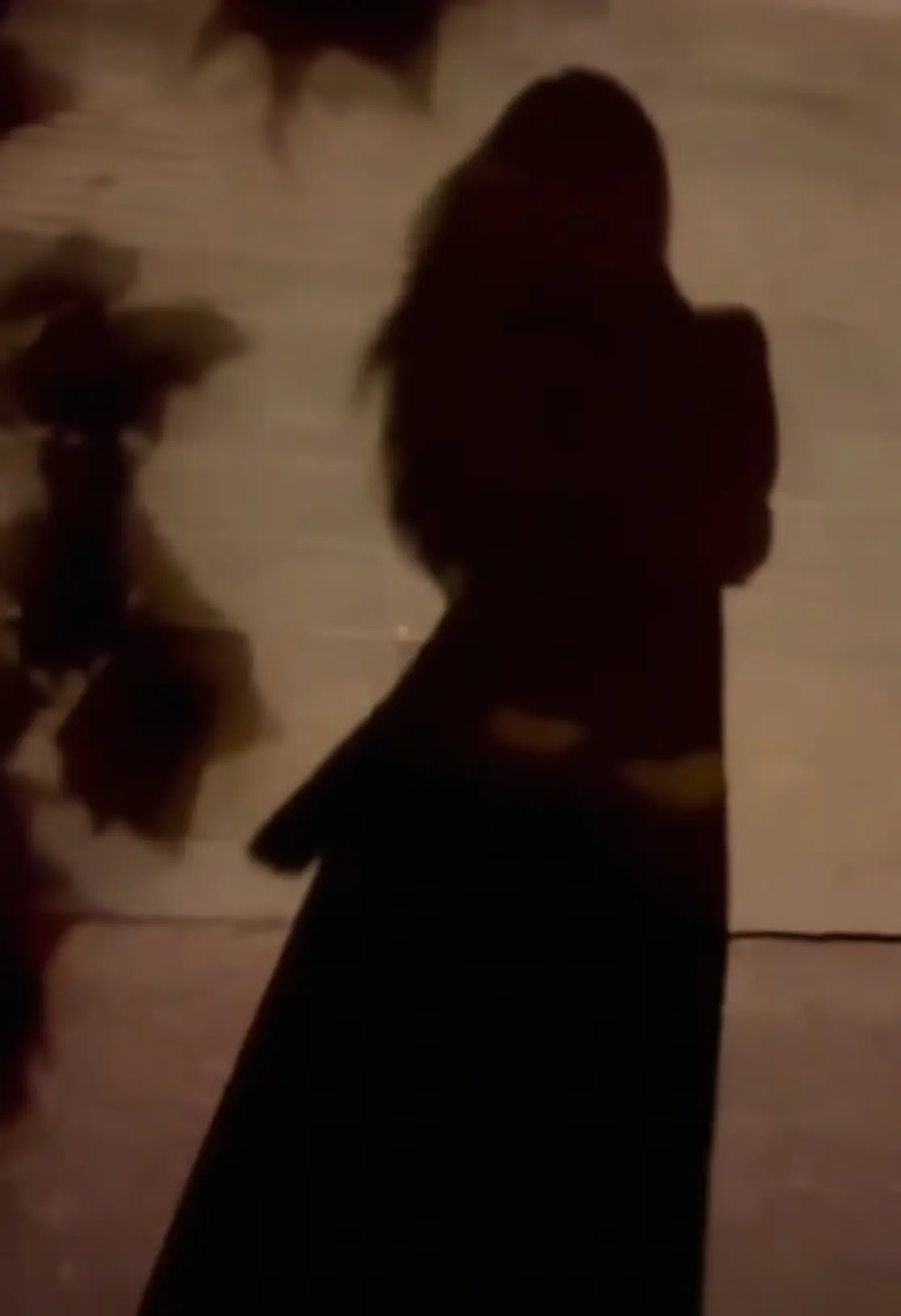 突然好想撒娇，任性一下下，矫情一下，释放一下小女人的气息，可是想想好像...