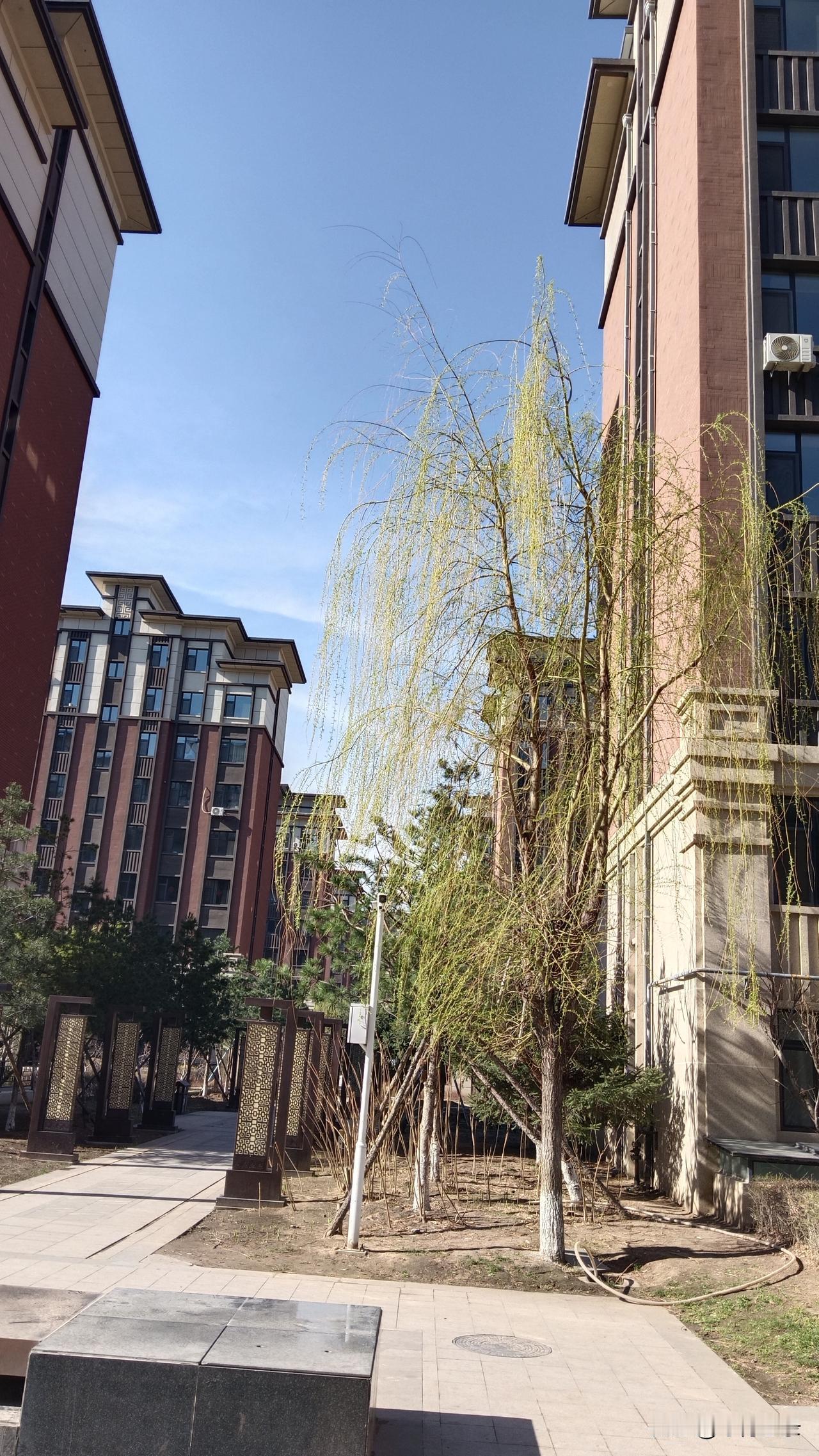 我的下联是：今已网络传情。