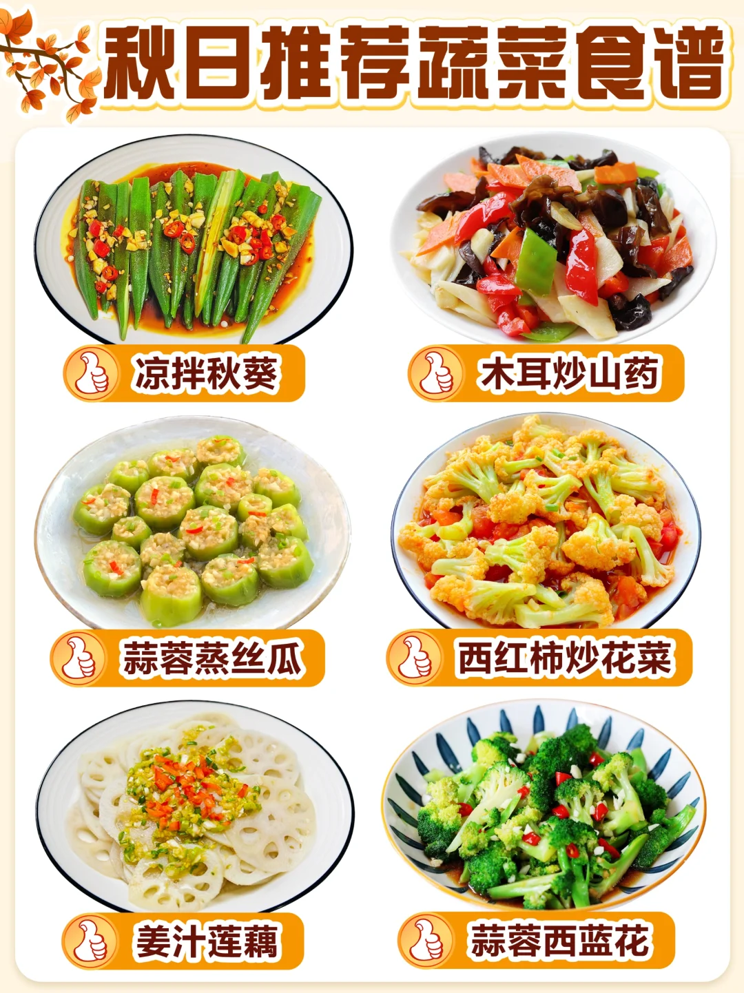 6款秋日轻食蔬菜食谱🌿|家常下饭菜合集❗