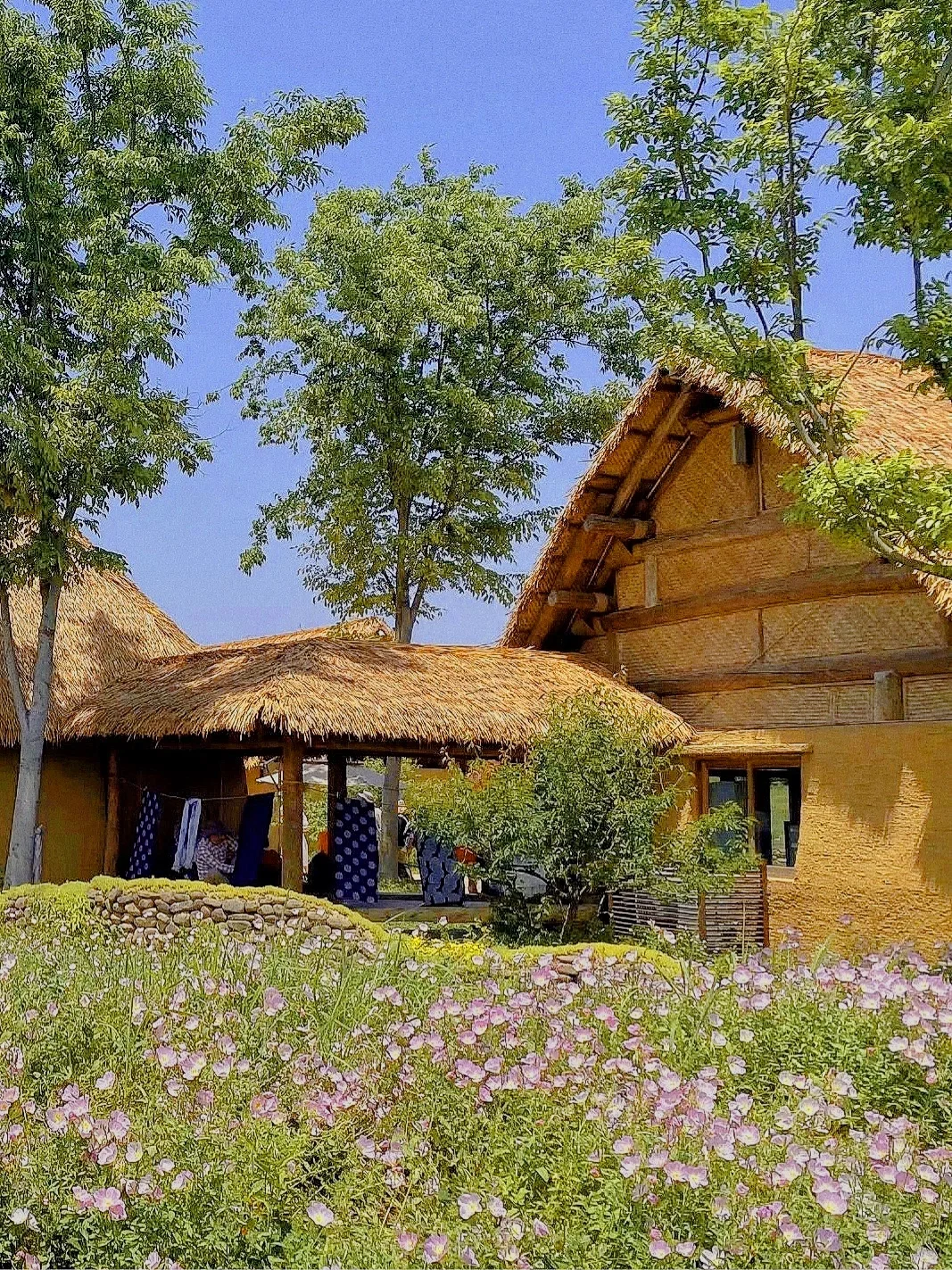 报‼️良渚古城遗址公园不要门票啦🔥