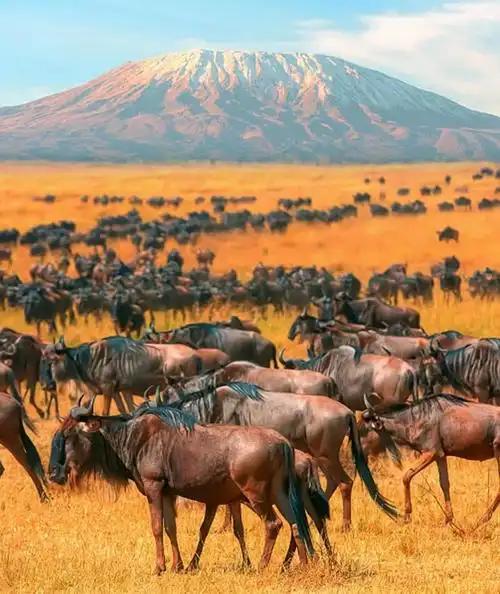 曾记得中国外长一直有新年访问非洲的惯例，可今年已过去5天，咋就没消息呢？

一直