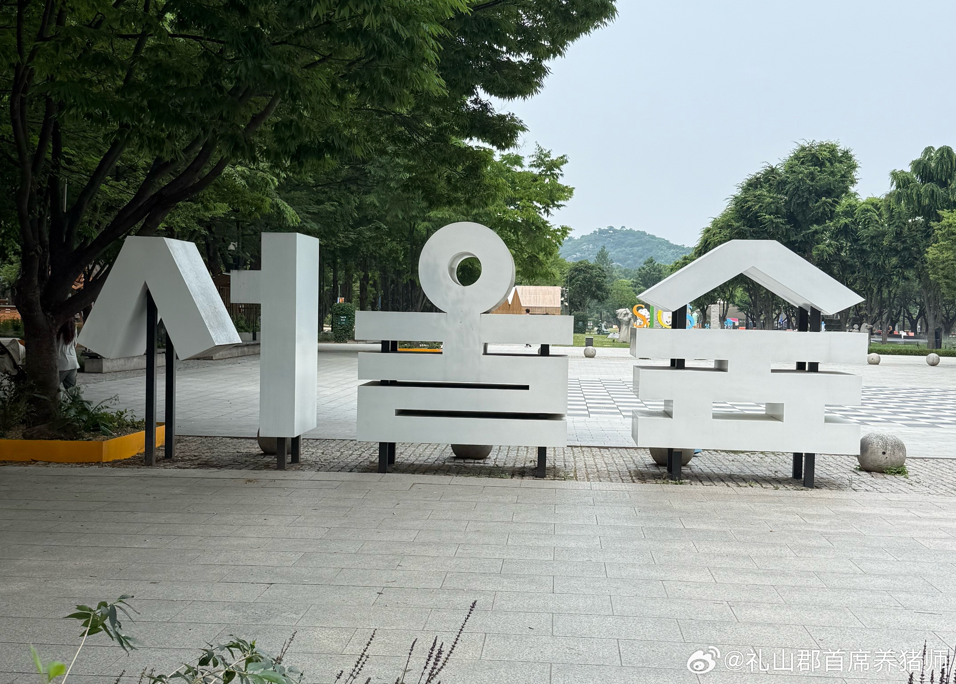 打卡元同款首尔林 韩国·首尔林