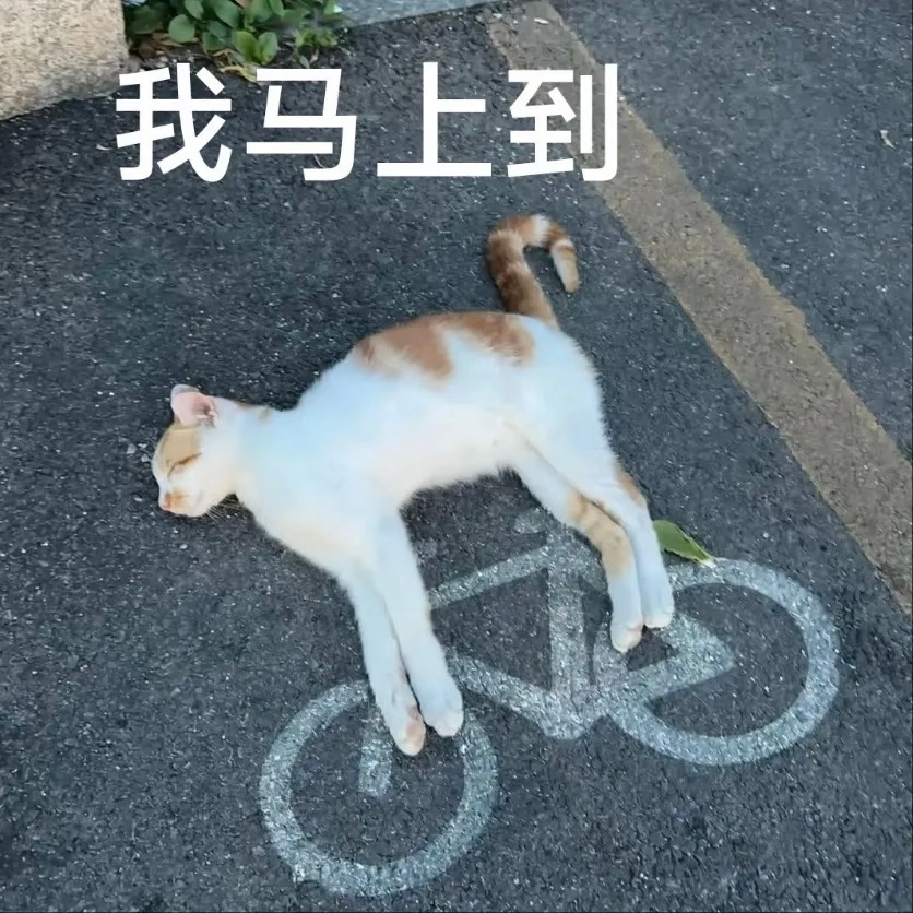 油车真的崩盘了吗油车不能说崩了，走下坡路是有点。新能源渗透率走高，燃油车份额缩水