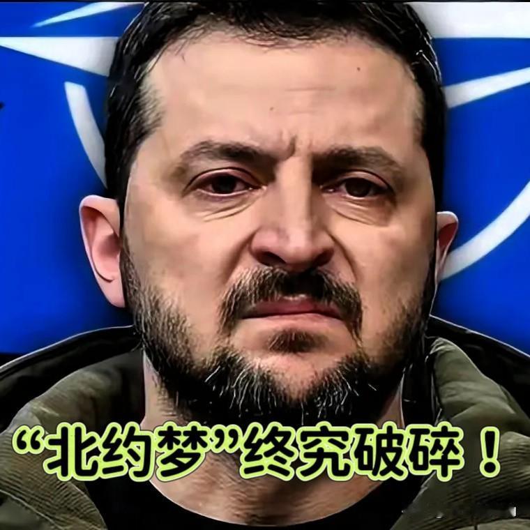 泽连斯基这次在柏林算是彻底摊牌了，那个曾经写进宪法的“北约梦”，终于还是碎了一地