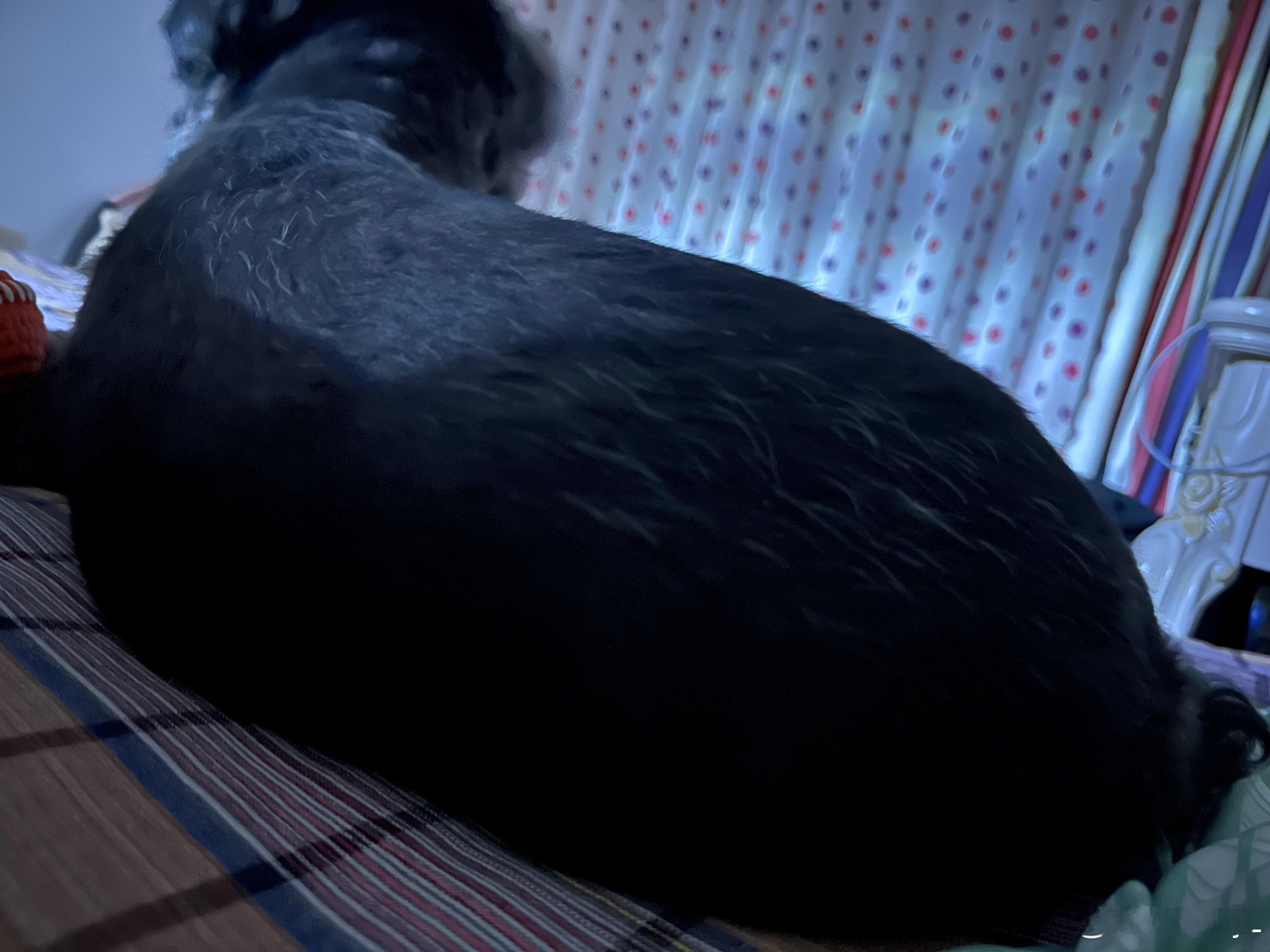 这对吗 