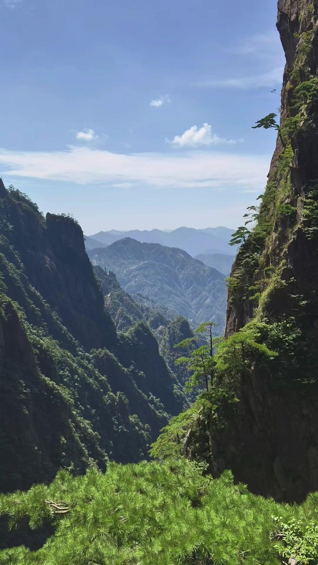 🌿相隔四十年再次登临黄山，终于真切触碰到山藏了许久的灵气。步履慢下来，风裹着松