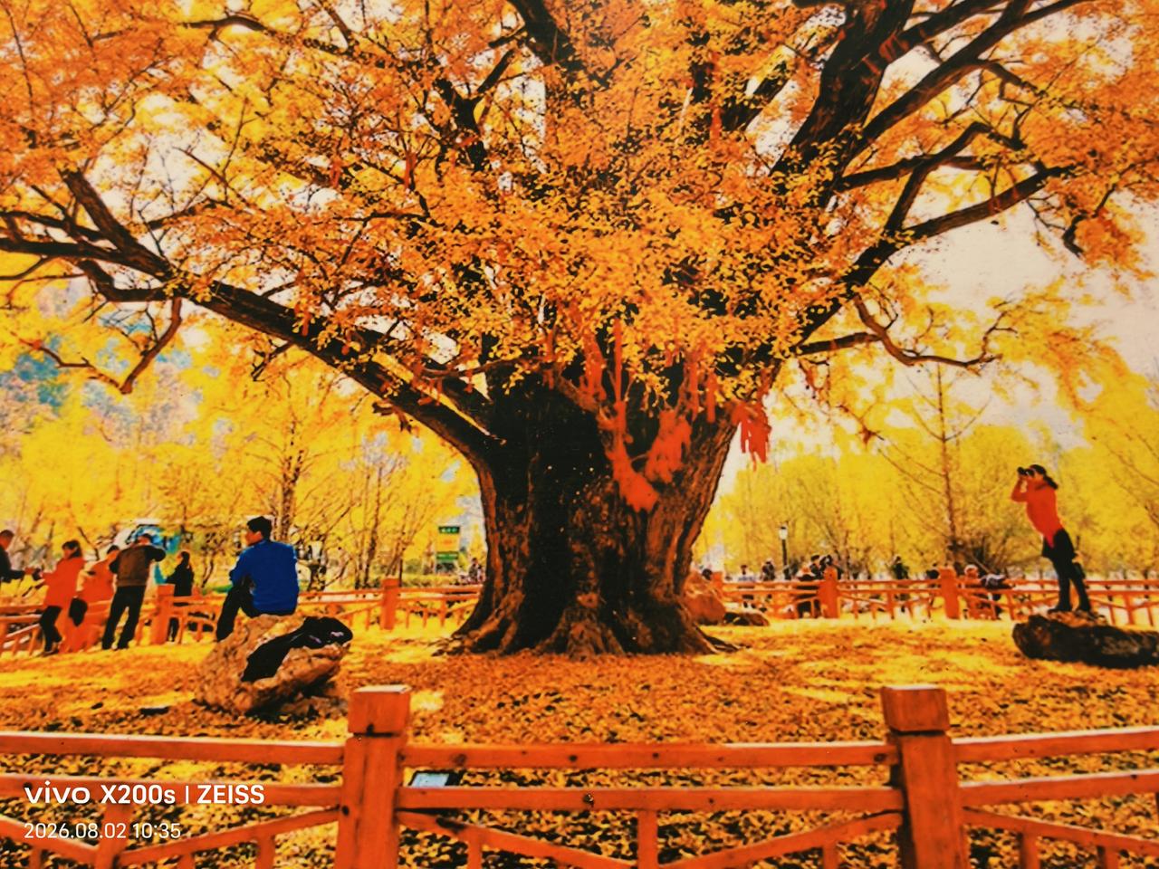随州什么地方比较好玩随州市好玩的地方很多，盛夏建议去博物馆，银杏谷，大洪山金顶，