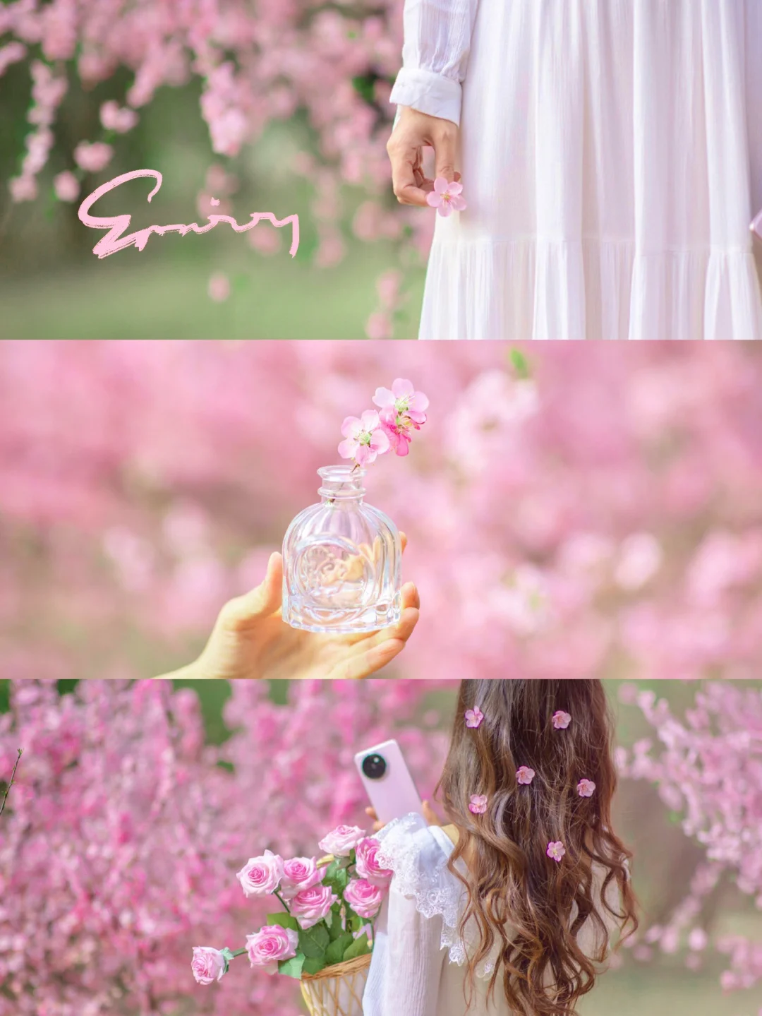 春日樱花文艺氛围感拍照|Civi 徕卡调色滤镜