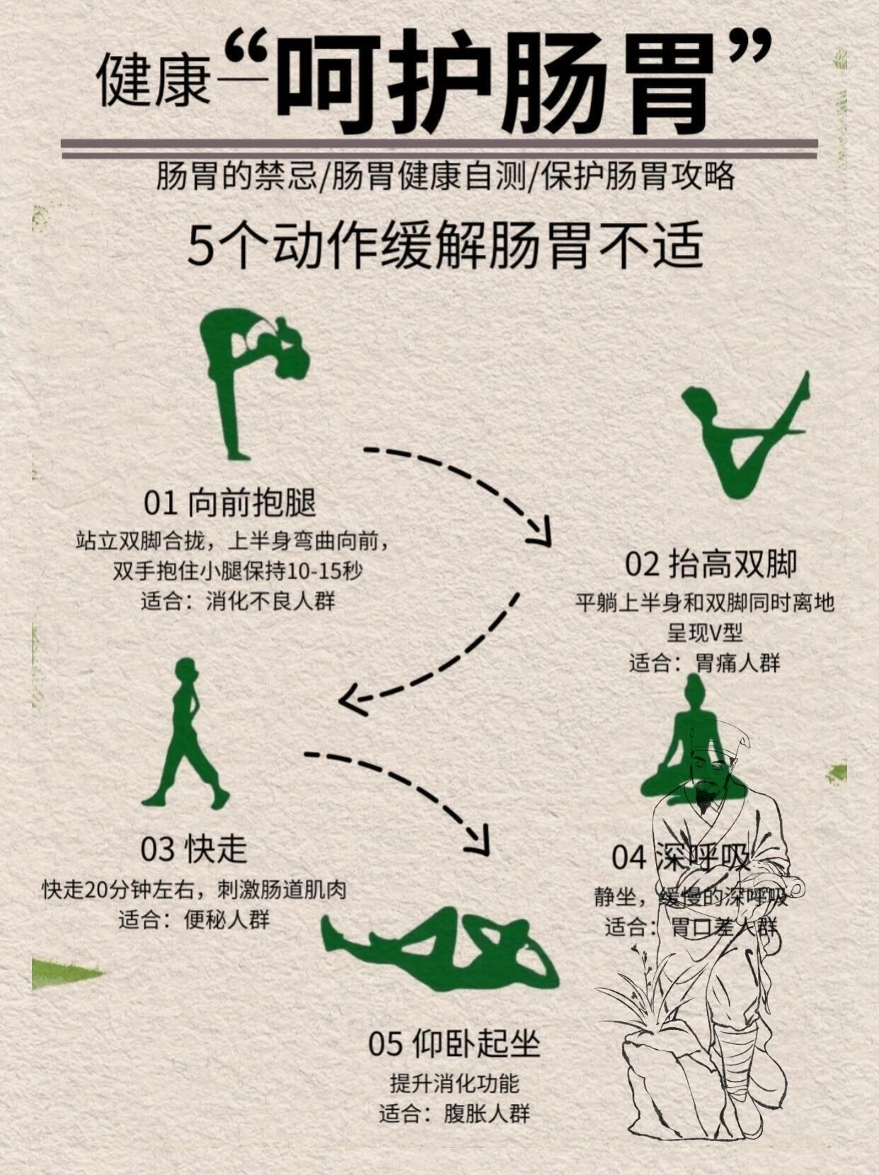 胃肠是最会伪装的演员💡 为什么肠胃是“第二大脑”？✅ 消化吸收：提取营养，供能