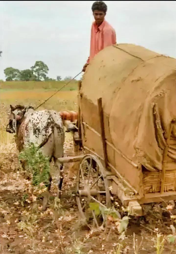 奇了怪了
国内化肥都快断供了，农民急得跳脚，明明就想找中国买，还非要端着架子搞招
