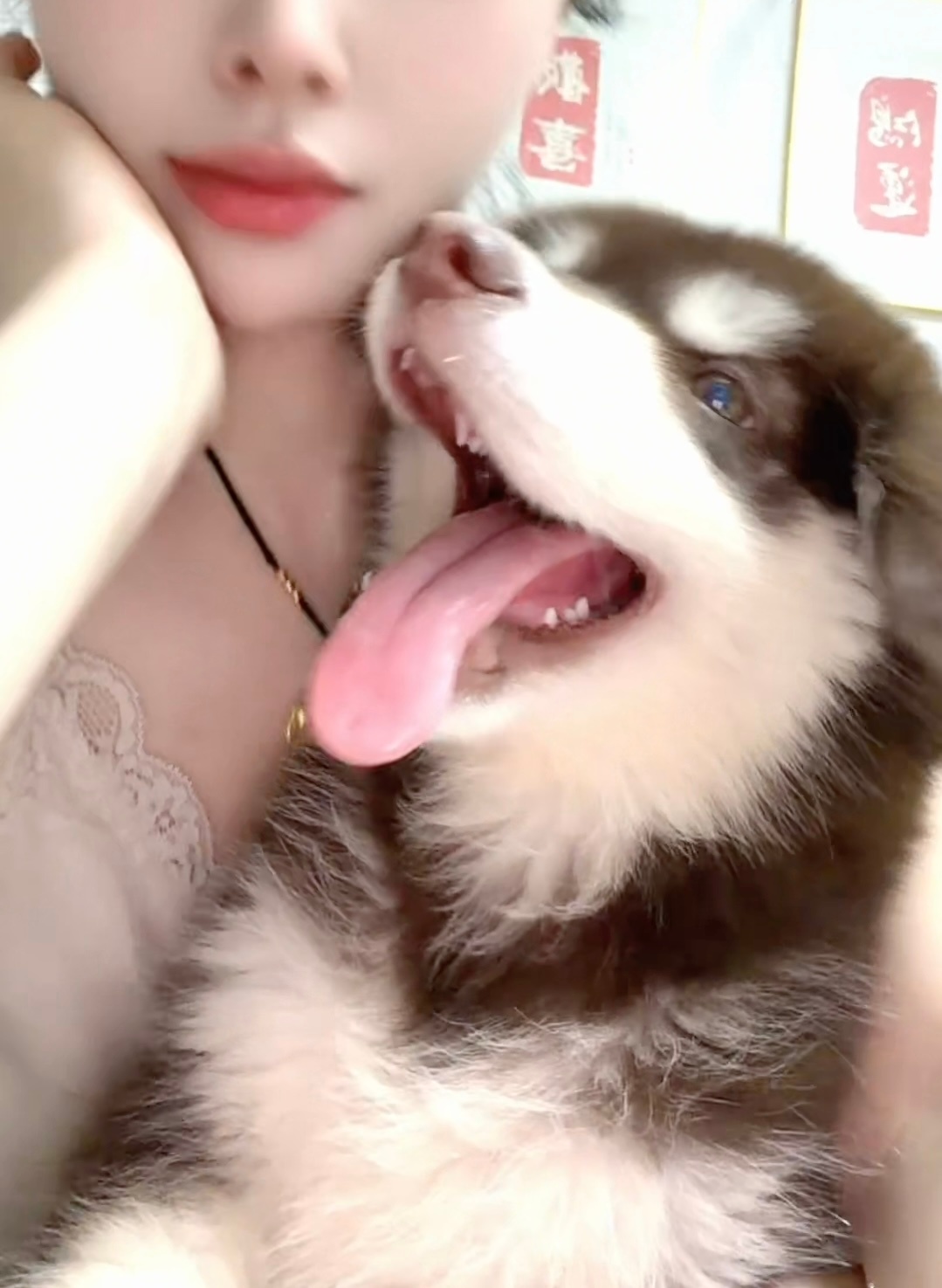 做我的狗当然也要美颜啦😘 漯河·撸遇烧烤(原爱渔家)