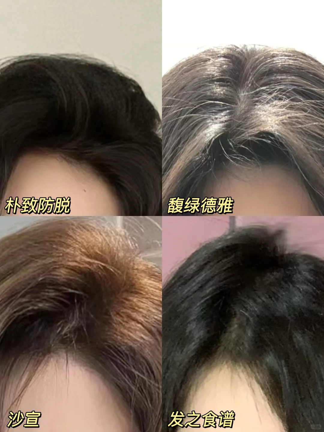 成功上岸，真实测评网红防脱洗发水！