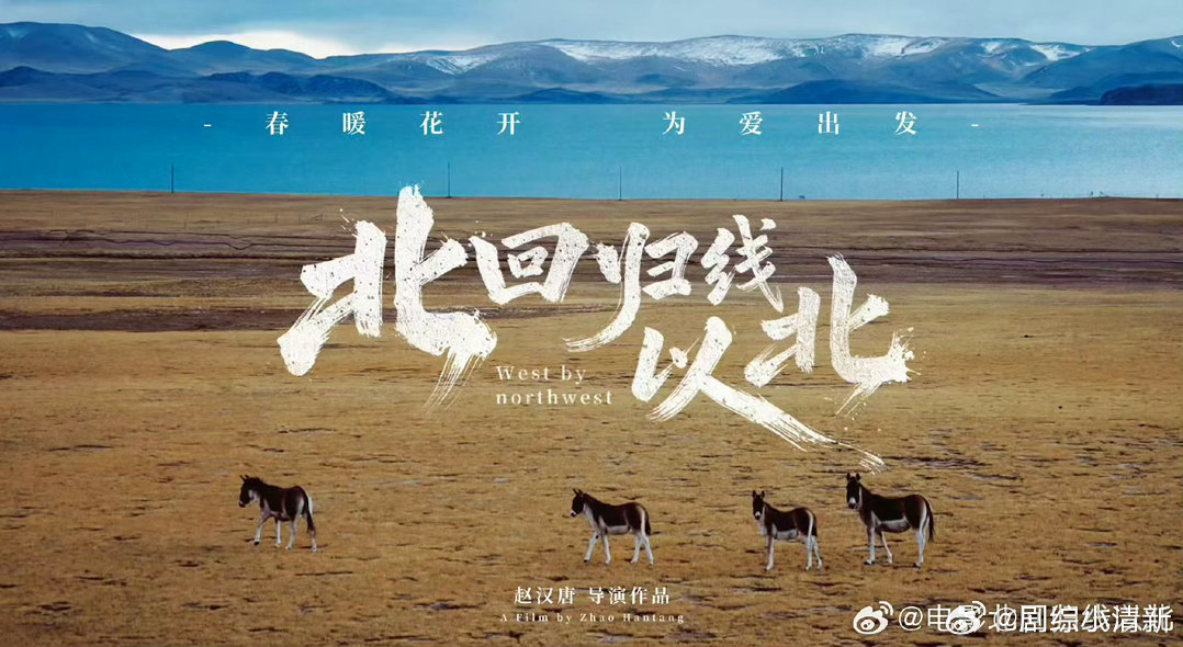 俞敏洪观影北回归线以北俞敏洪现身北回归线以北首映礼 俞敏洪说影片袒露了现实里长久