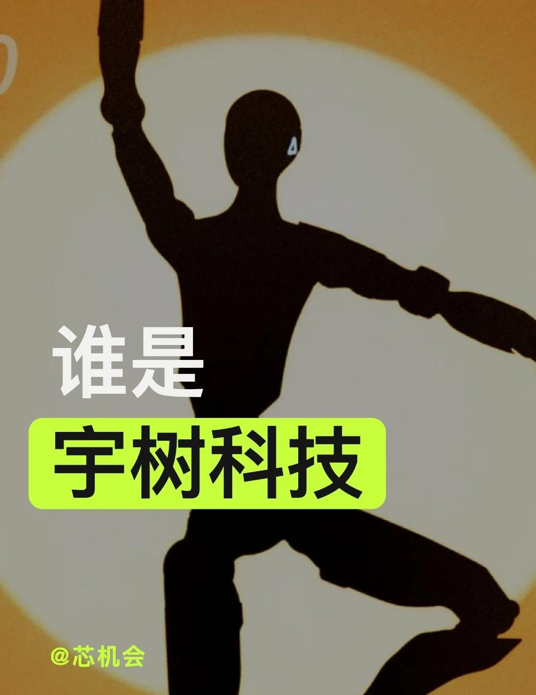 谁是宇树科技，背后站着谁
下周就开始申购了！到底谁是宇树科技，钱从哪来，由谁制造