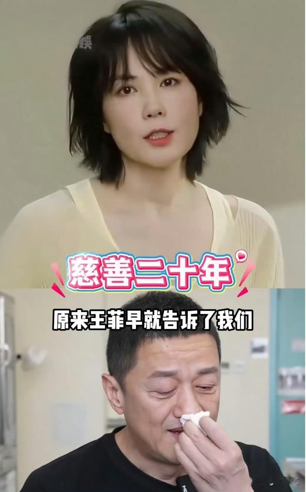 王菲连续十年以匿名捐赠人身份累计向嫣然天使基金会捐款3268万元的事实因基金会财