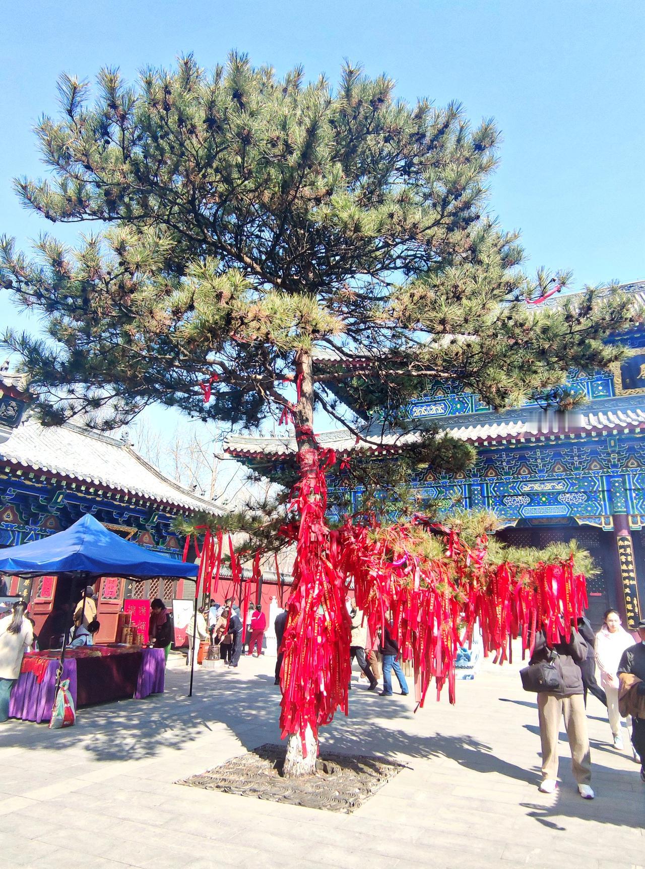 东塔永光寺景色一观
   沈阳东塔护国永光寺，是盛京四塔四寺之一，始于清代，近年