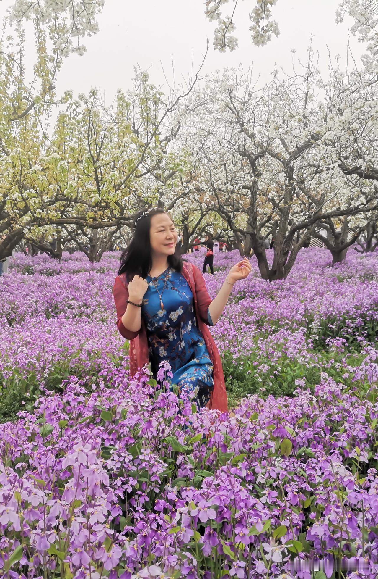 分享一张你相册的拍的花听《拈花一笑》，心瞬间归宁。人生风雨兼程，得失如云烟，何须