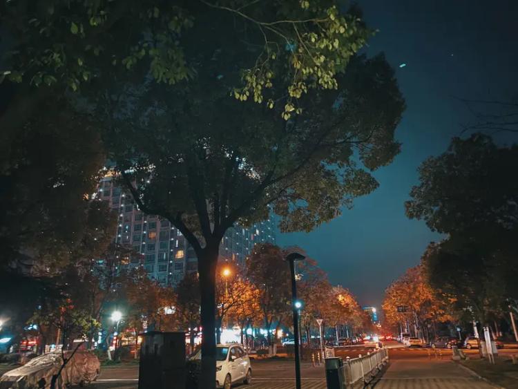 逗媳妇开心这事儿，我可有不少妙招。送花绝对是经典必杀技，像在纪念日捧束玫瑰，她一