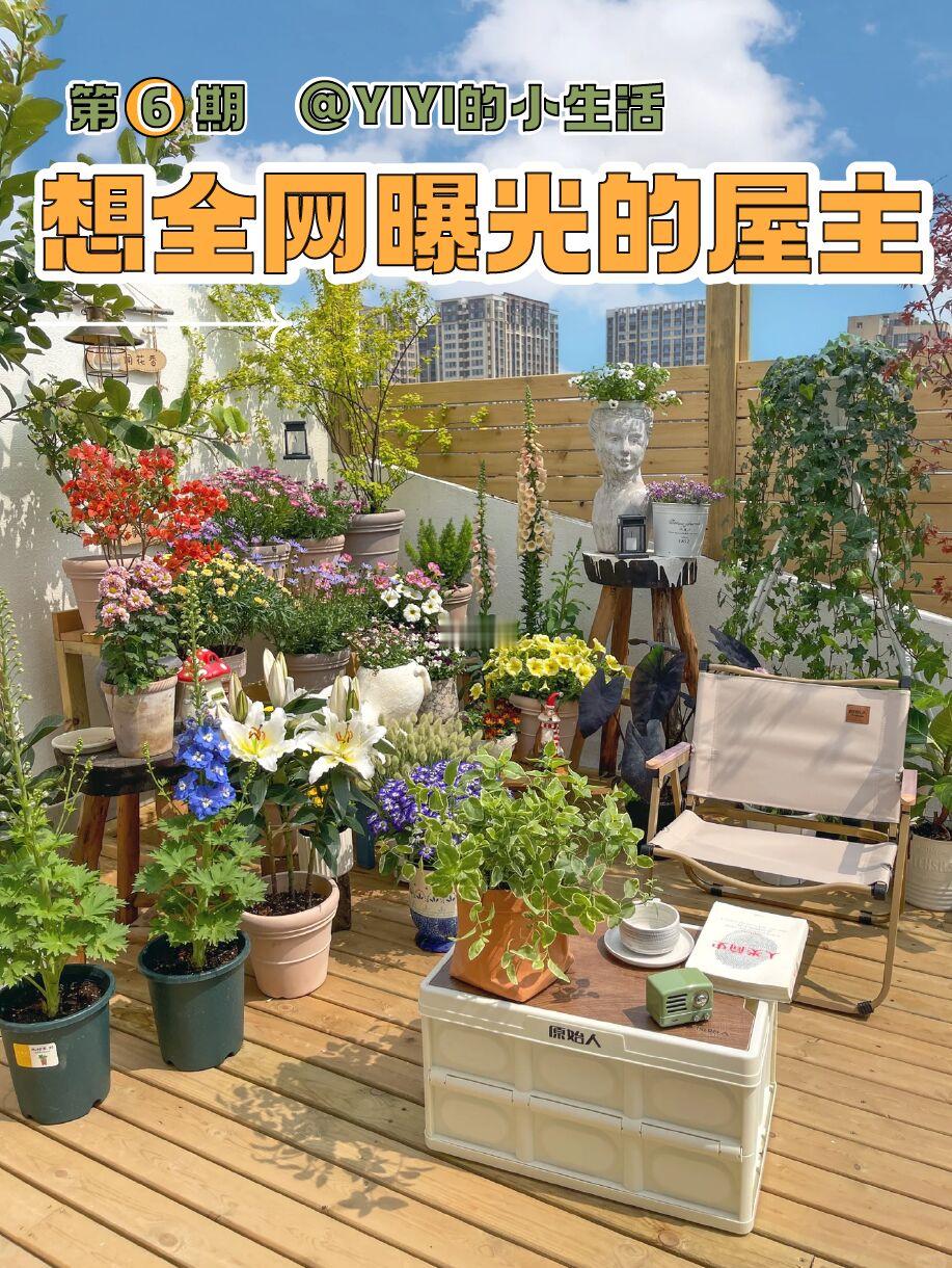 想全网曝光的第6位屋主｜原房主卖了超后悔