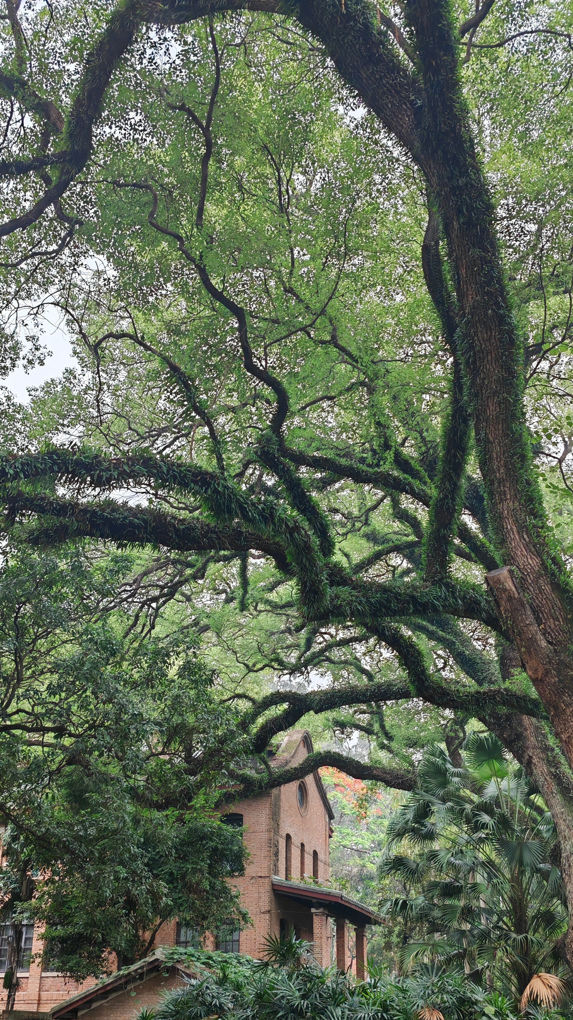 每日一善 𝐿𝒾𝓋𝑒  𝓁𝒾𝒻𝑒  ☀心存善良，万物晴朗🐑ིྀ∘