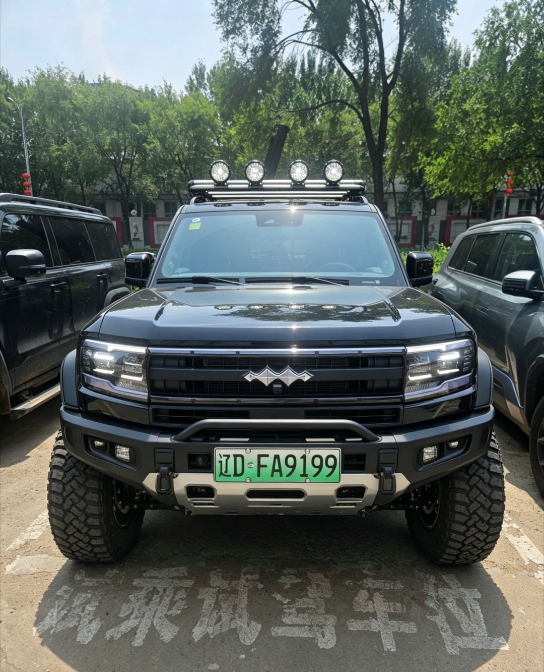 分享图片 