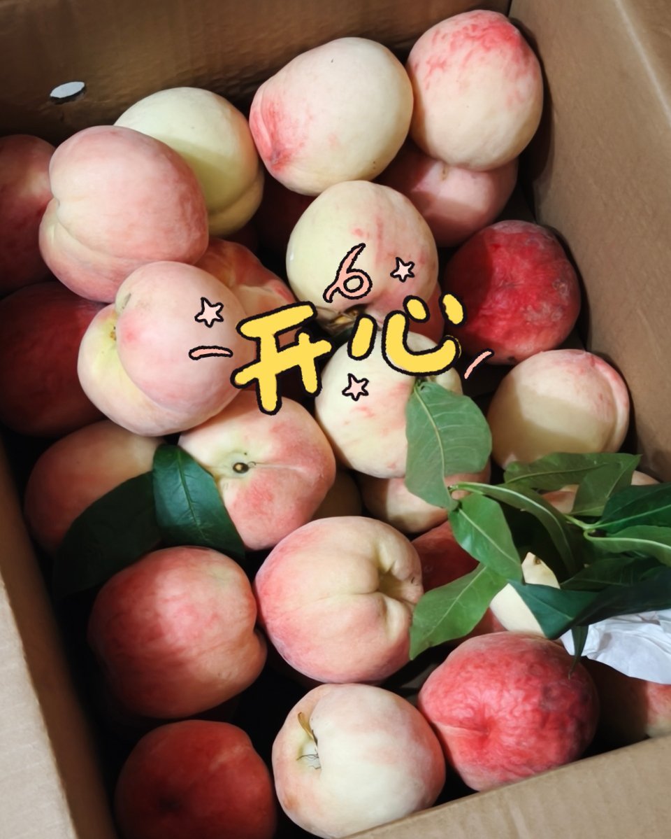 随手拍新鲜🍑 