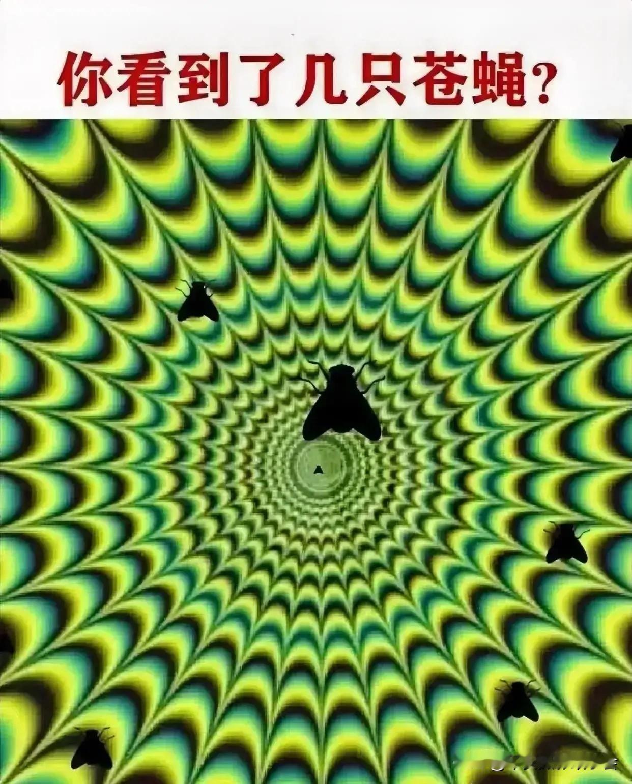 考验视力  一共有十只苍蝇   我只能看到6只    视力不行了？？