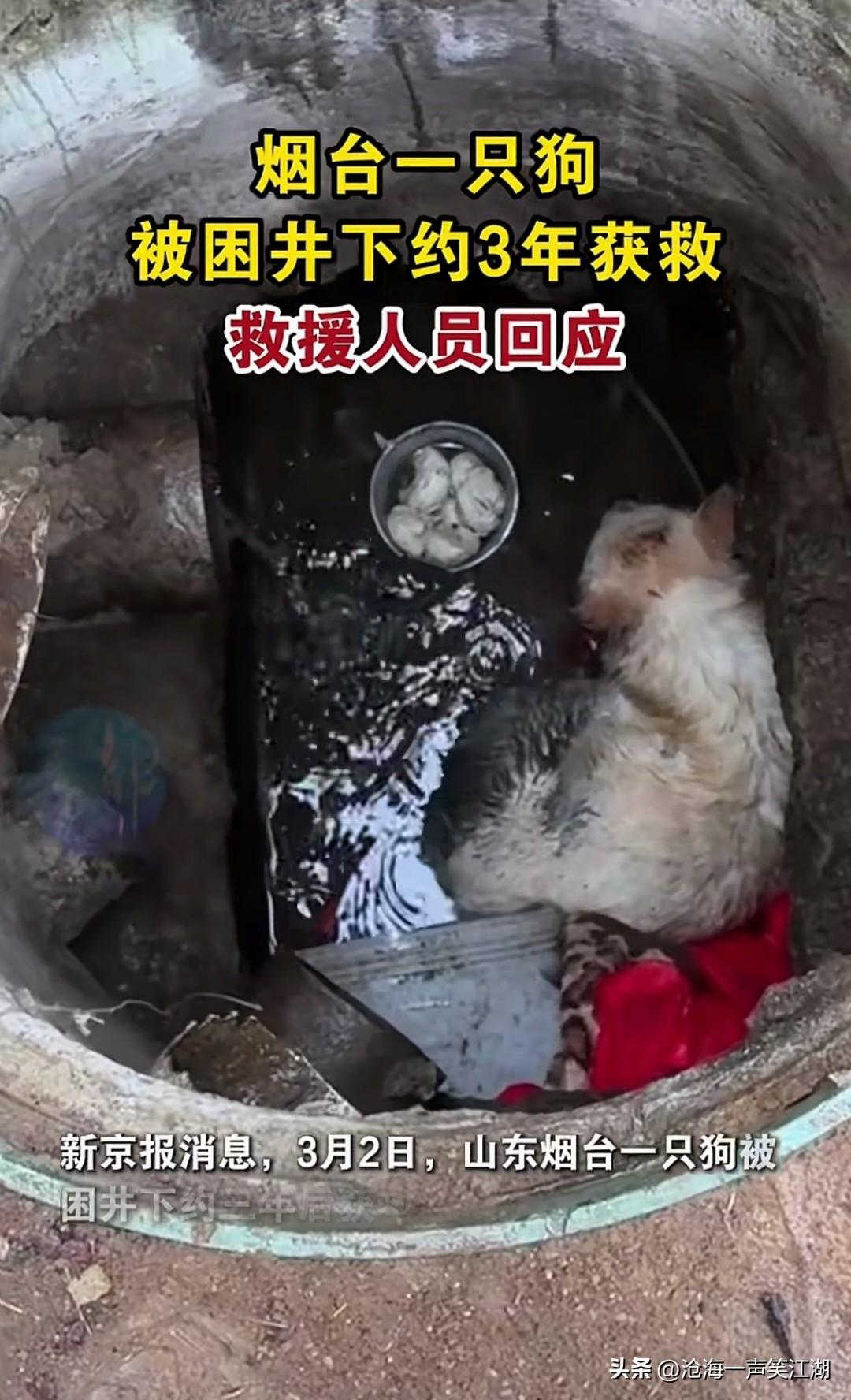 被困井下3年，
换成我的话早就崩溃了，
这才是名副其实的“狗坚强”。

三年时间