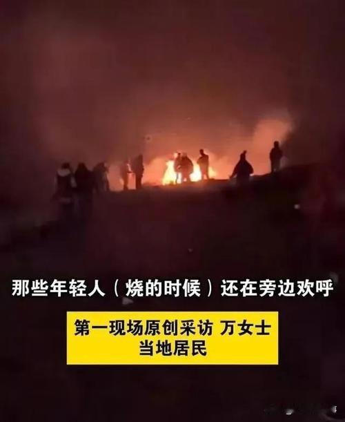 网红景点大牯牛山遭游客纵火狂欢，只能说明6点
1. 有人把国家二级保护植物当柴烧