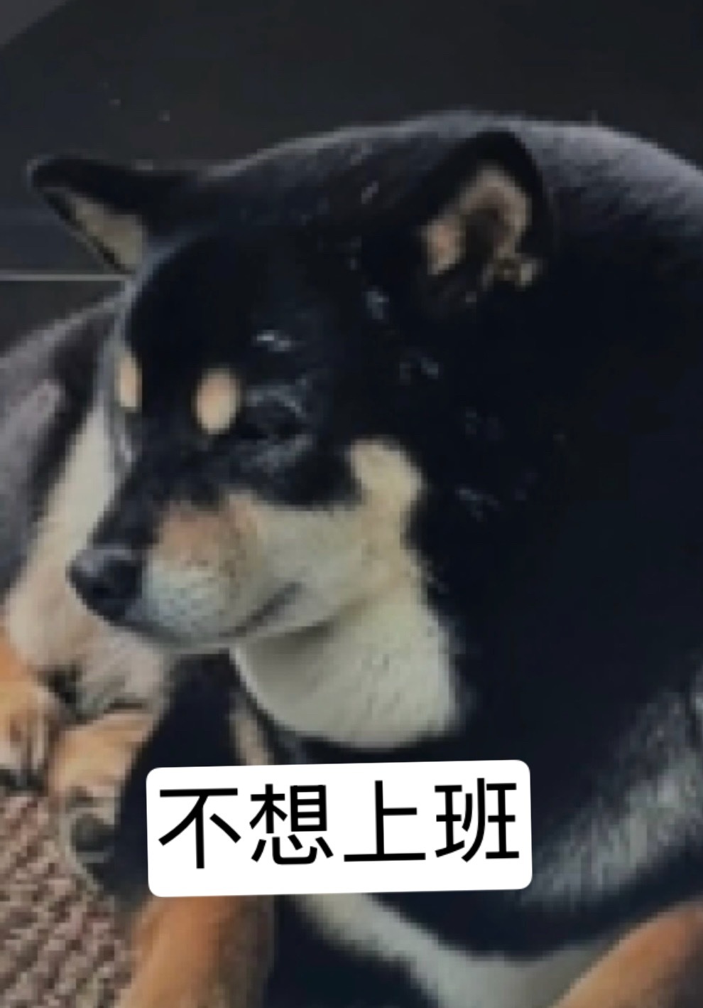 我每天。 
