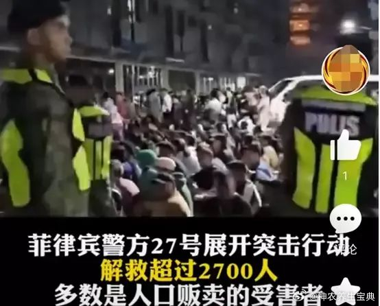 一个小国竟然从缅北救出604名中国人！真相是怎样的？[话筒][赞啊]来源：凤凰东