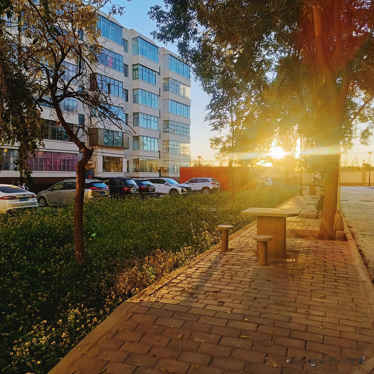 一通电话响起，是表姐打来的，邀请我去参加她女儿的婚礼。

眼看表姐的女儿婚期越来