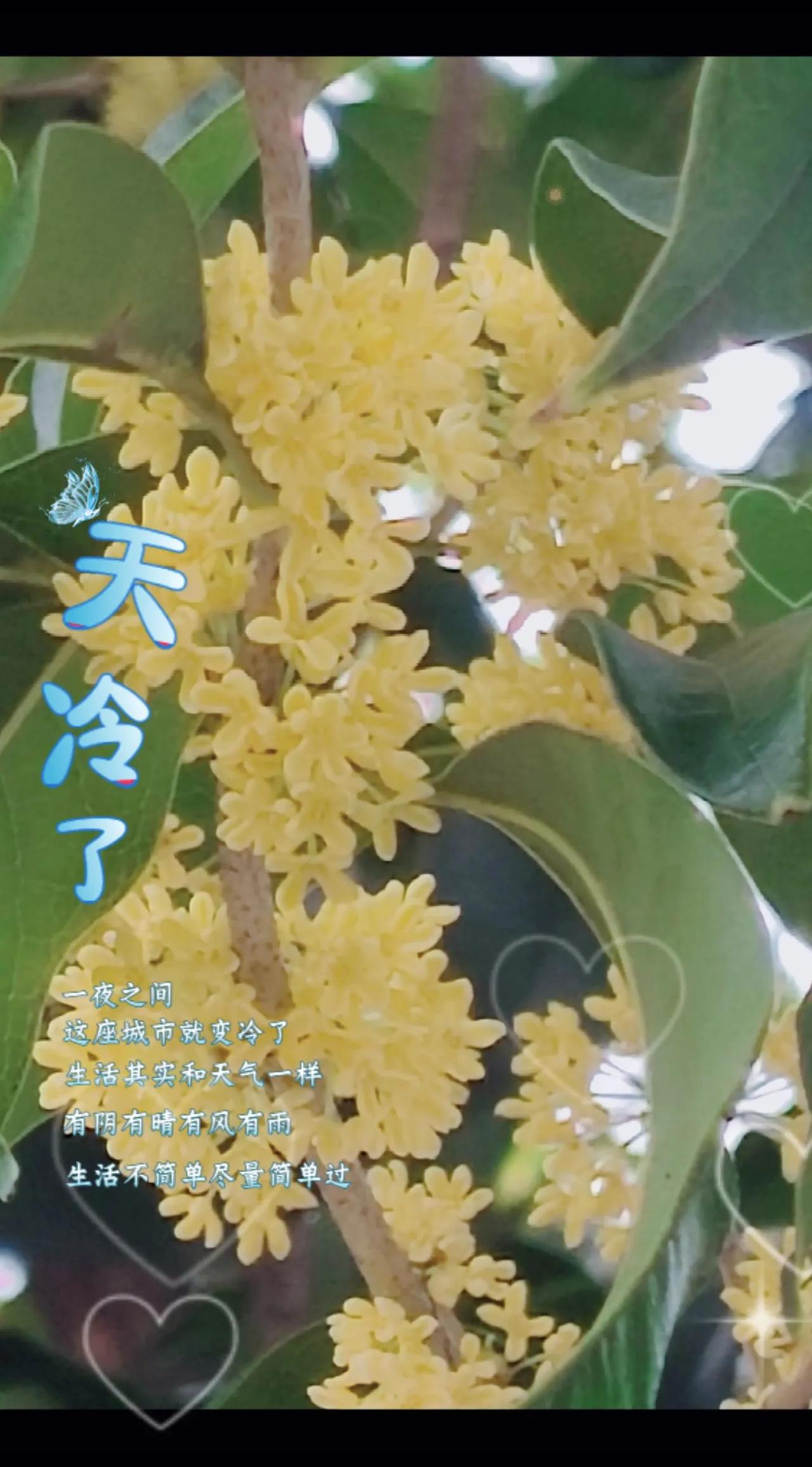 当时只道是寻常