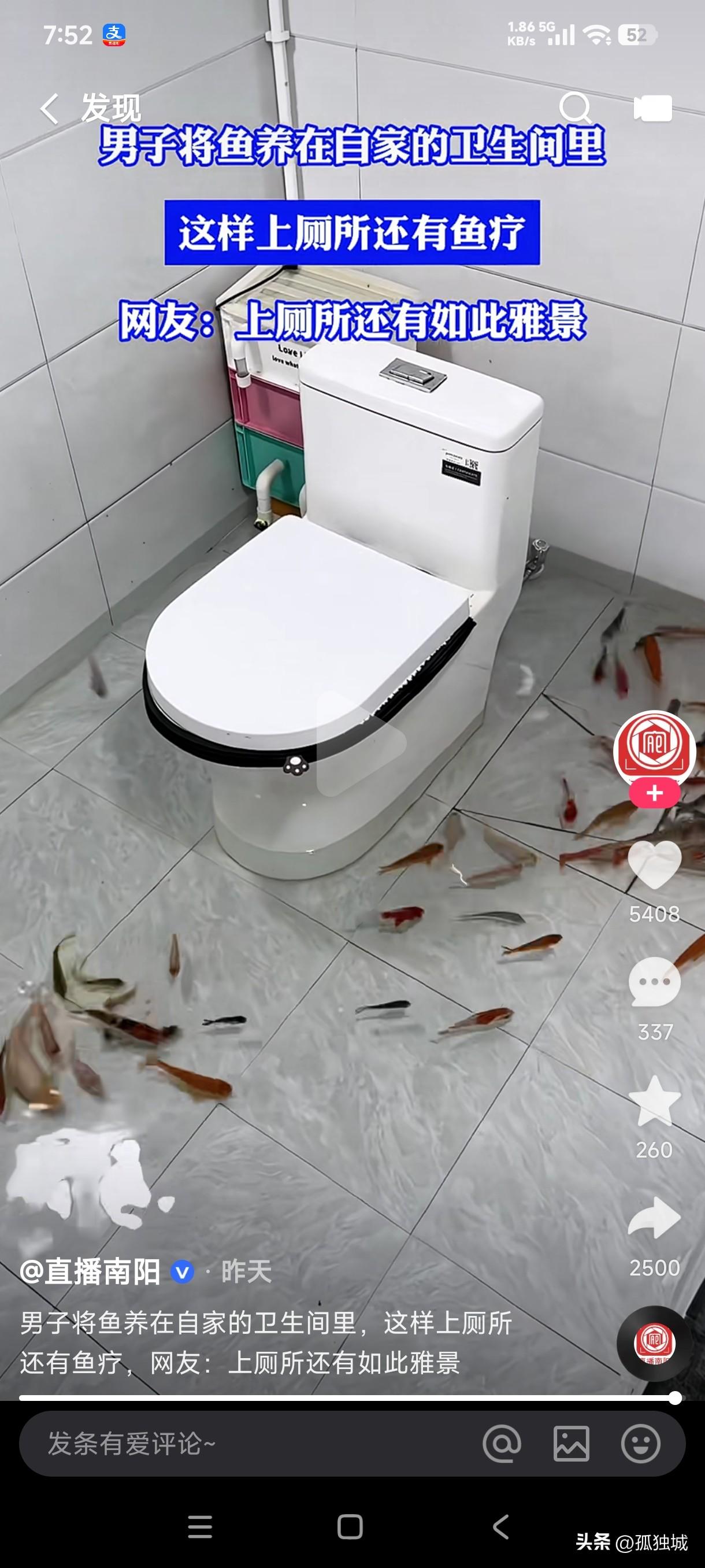 卫生间里养鱼的还是第一次见，这上厕所是不是得穿个雨靴，人洗澡的同时是不是也顺便给