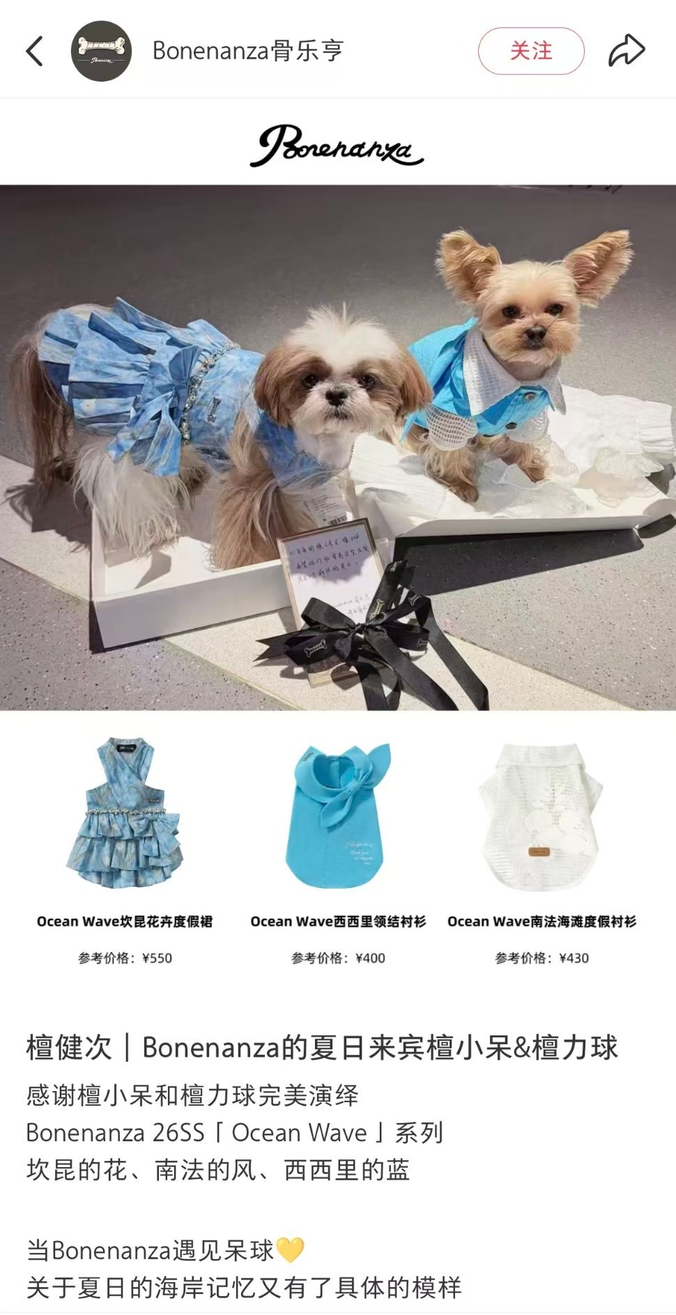 呆呆原来是公主🎀 