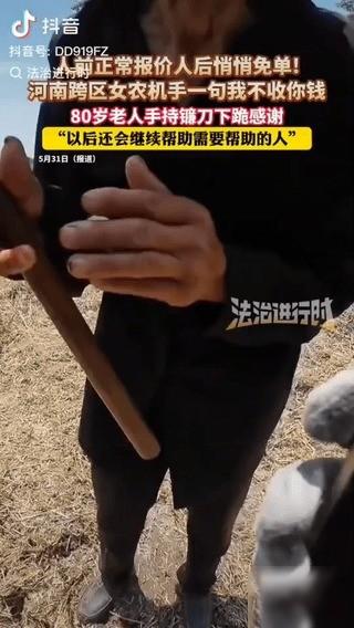 河南女机手驾车跨区来到湖北。地头边，一位80岁的大爷怯生生打听收割费，据报道，女