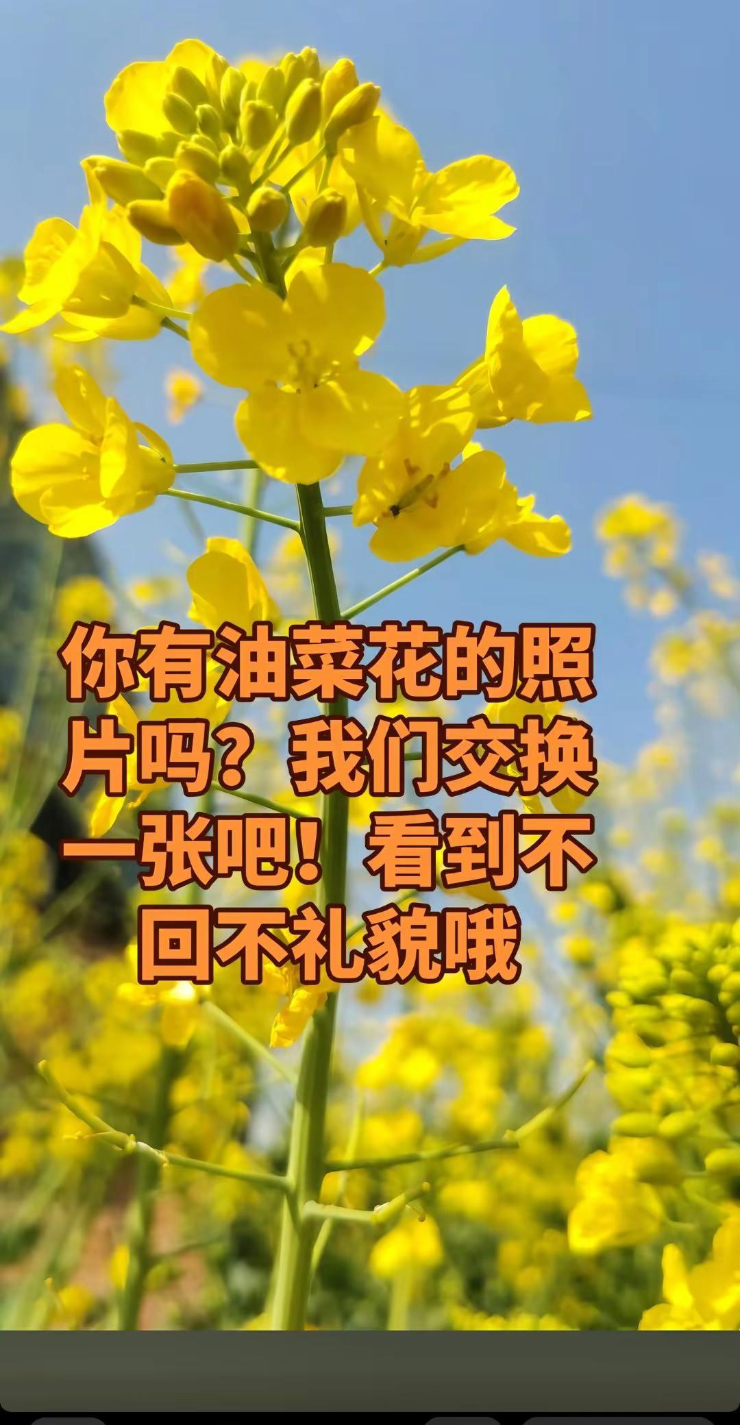 天大的事情都不要急，开心最重要。