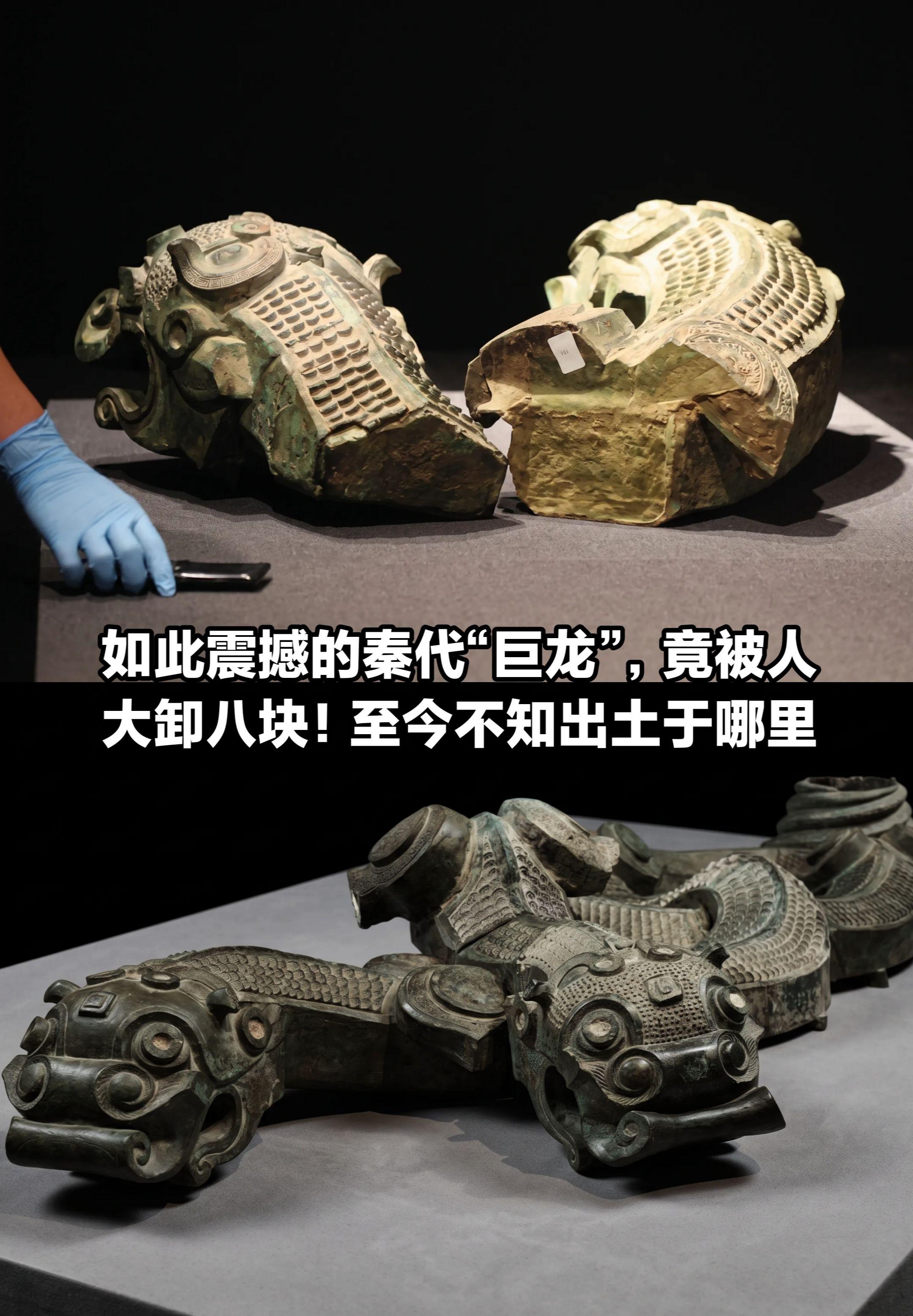 如此震撼的秦代“巨龙”，竟被人大卸八块。