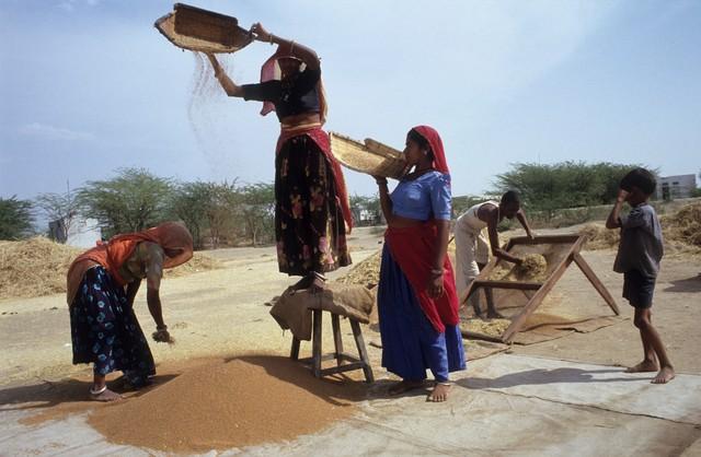 三哥终于还是低头了！

据财联社报道：印度钾肥有限公司同意以每吨935美元的价格