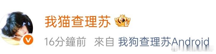 猫狗双全了 