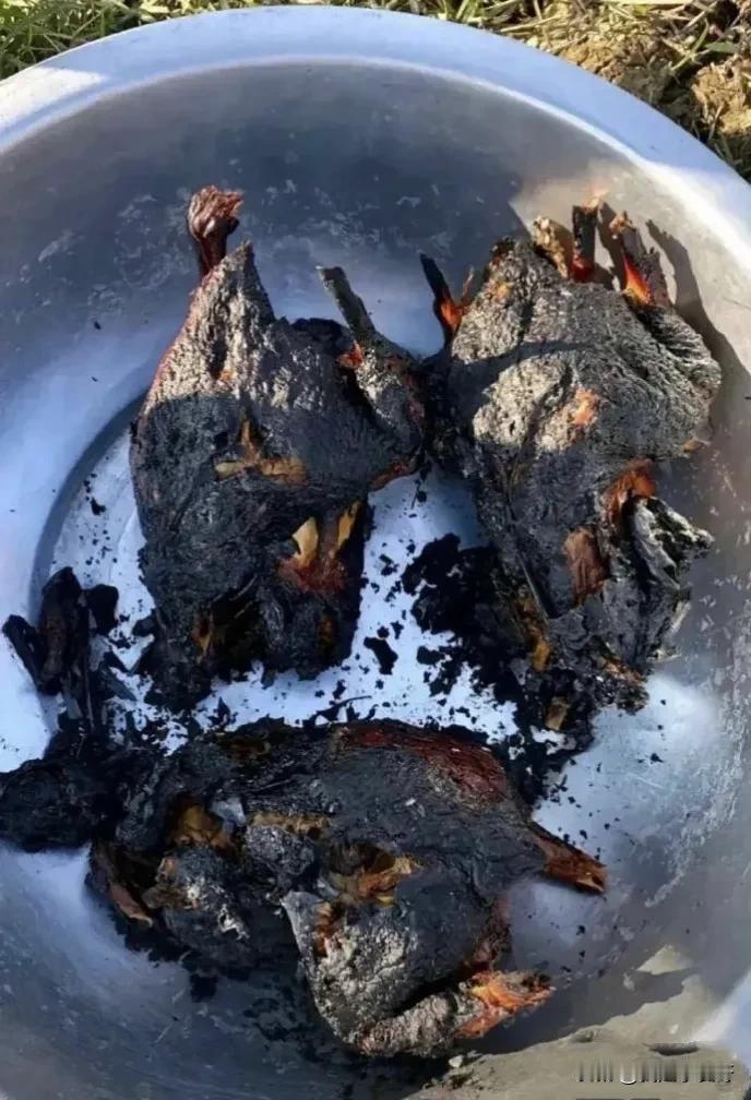 网友第一次去老丈人家，本来想展示一下厨艺，给老丈人留个好印象，没想到好好的烧鸡做