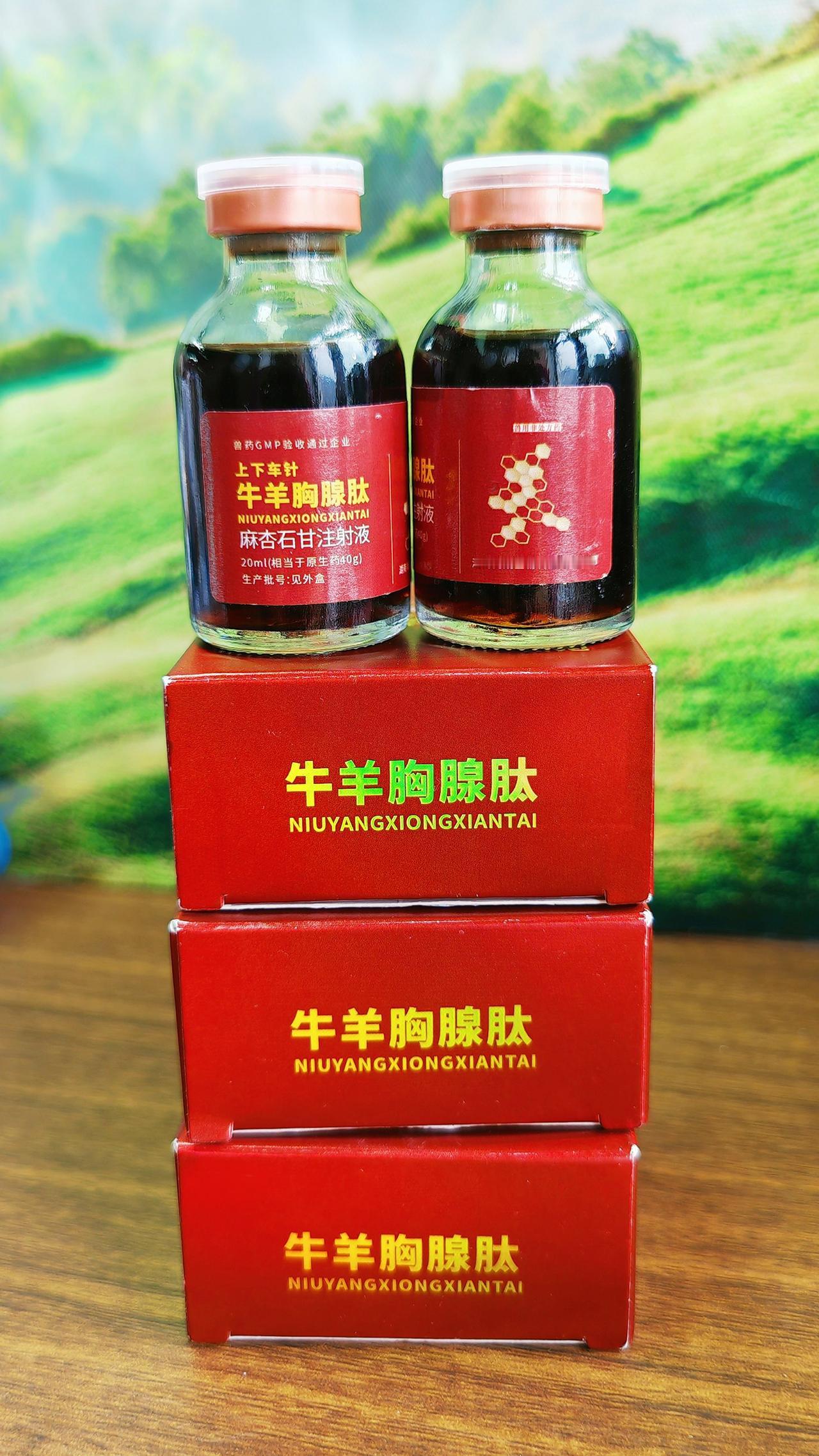 养羊人 农村养羊 牛羊养殖