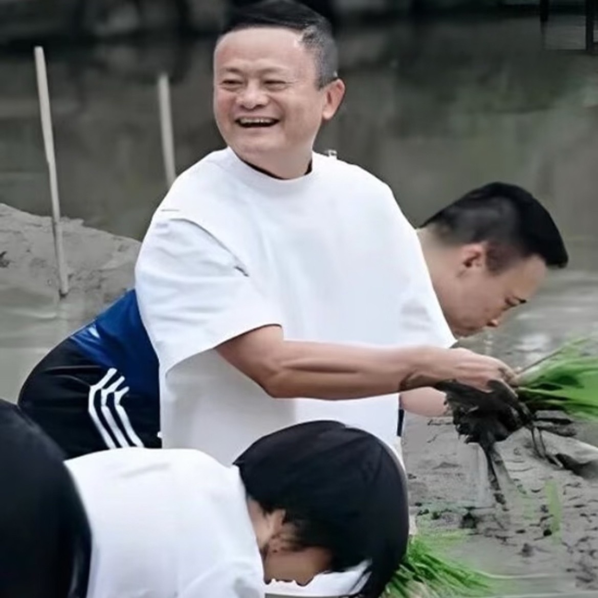 互联网大厂裁员潮从商场到阿里十几位高管一起到户外插秧来看，下一个风口有可能是种地