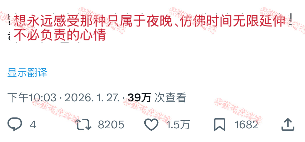 【twi】“想永远感受那种只属于夜晚、仿佛时间无限延伸的、不必负责的心情” 