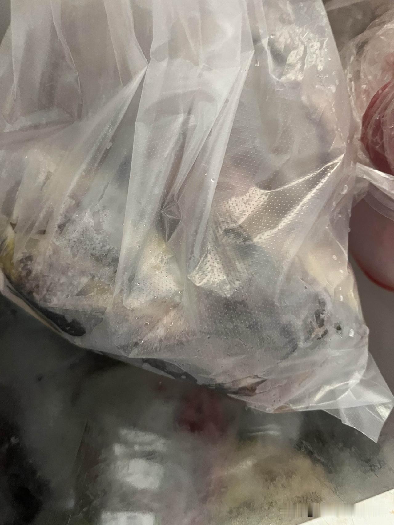 探病人。

自从老板娘动了小手术后，每天前来探望的络绎不绝，没早没晚总有人。尤其