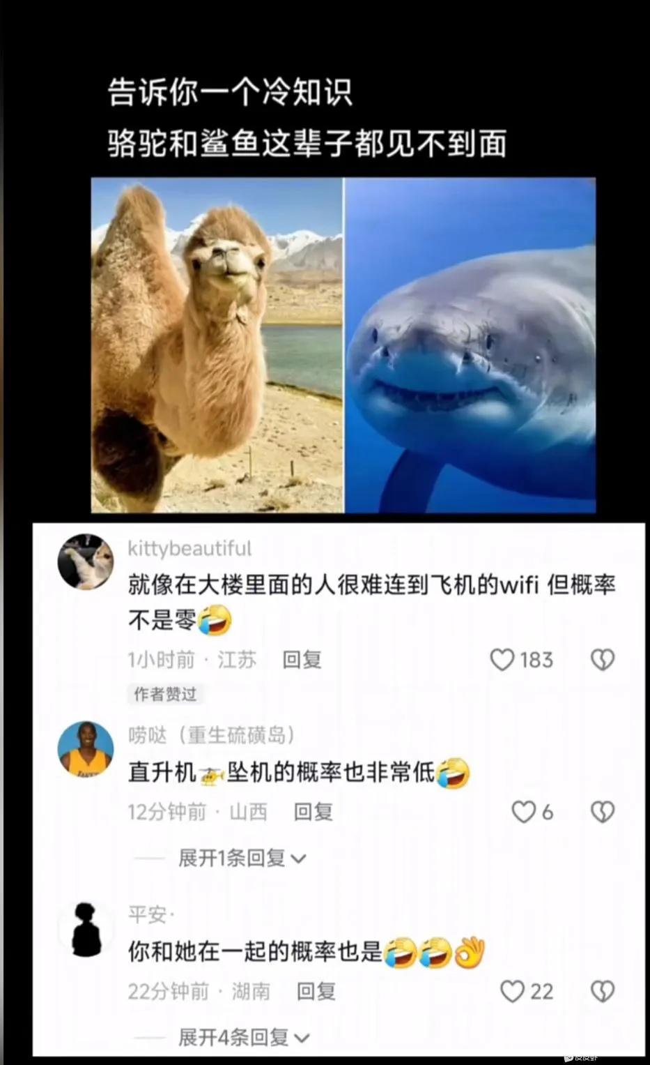 冷知识